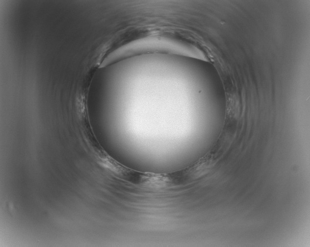 X0000071350621200607071726