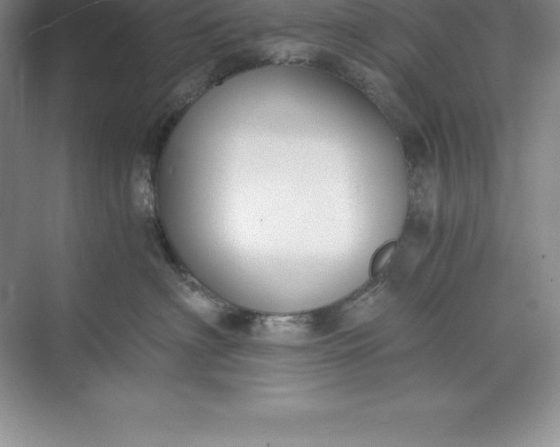 X0000071350622200607071726