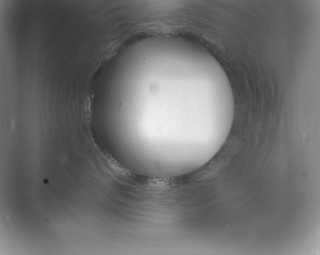 X0000071350624200607071725