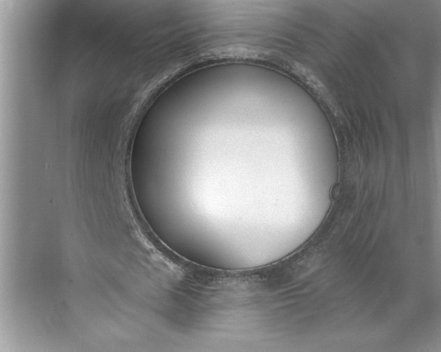 X0000071350625200607071725