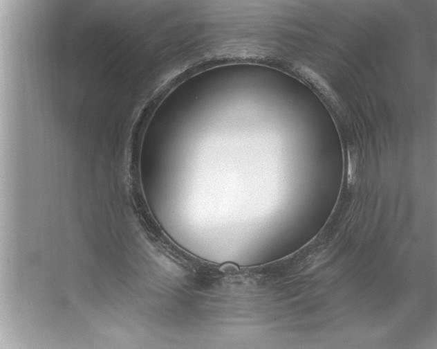 X0000071350627200607071725