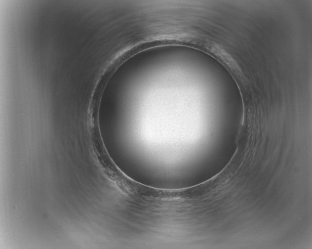 X0000071350628200607071725