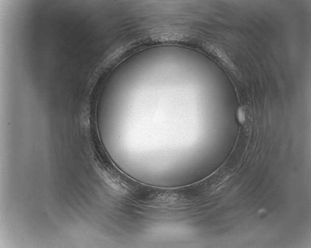 X0000071350631200607071725