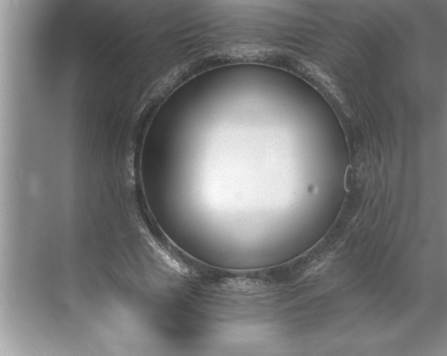 X0000071350633200607071725