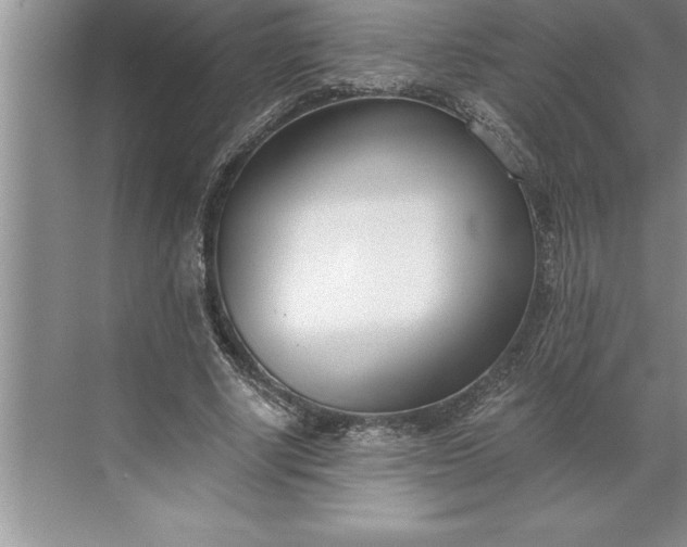 X0000071350634200607071725