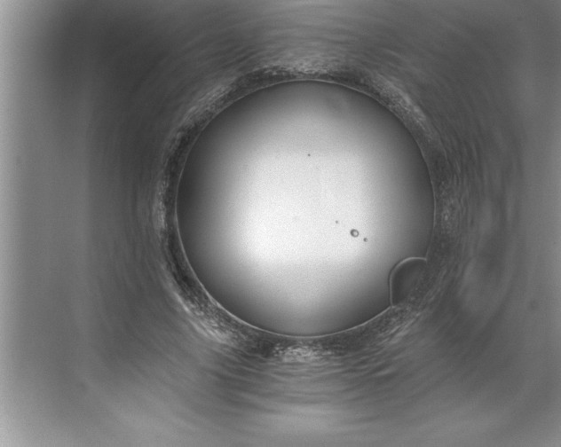 X0000071350635200607071725