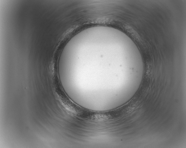 X0000071350636200607071725