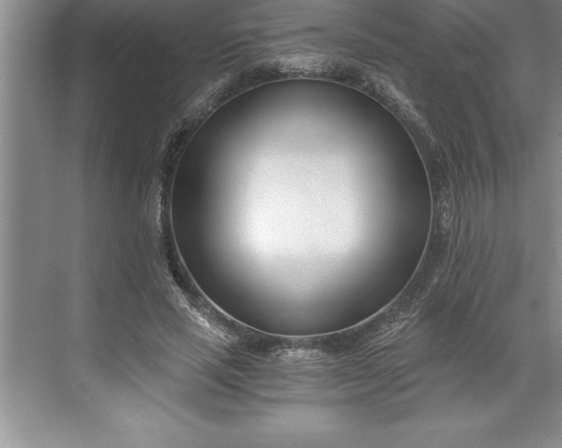 X0000071350637200607071725