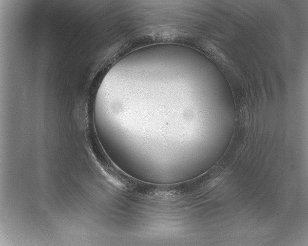 X0000071350638200607071725