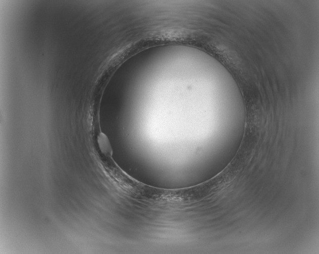 X0000071350640200607071725