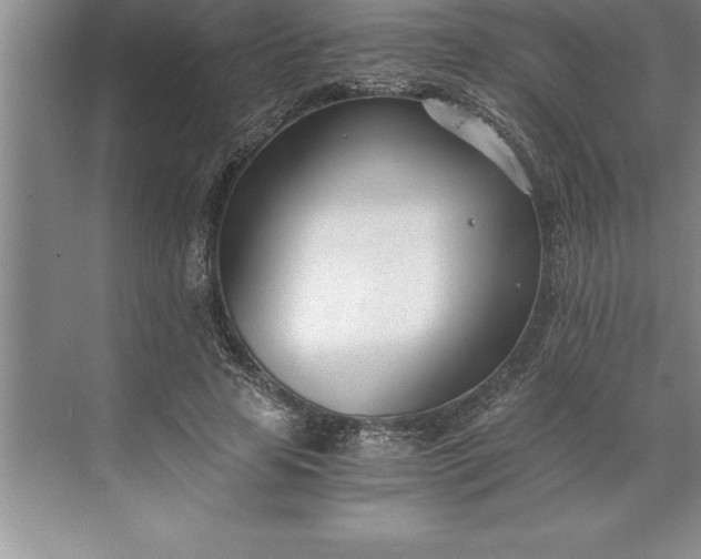 X0000071350641200607071725