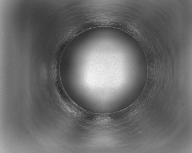 X0000071350642200607071725