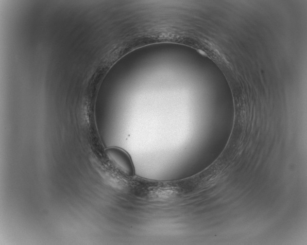 X0000071350643200607071725