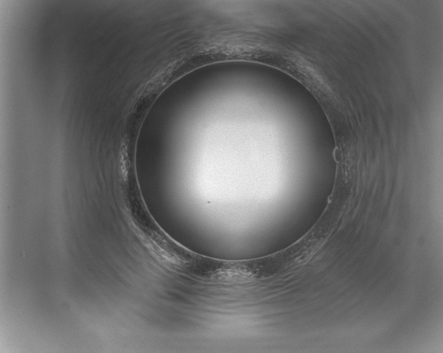 X0000071350644200607071725