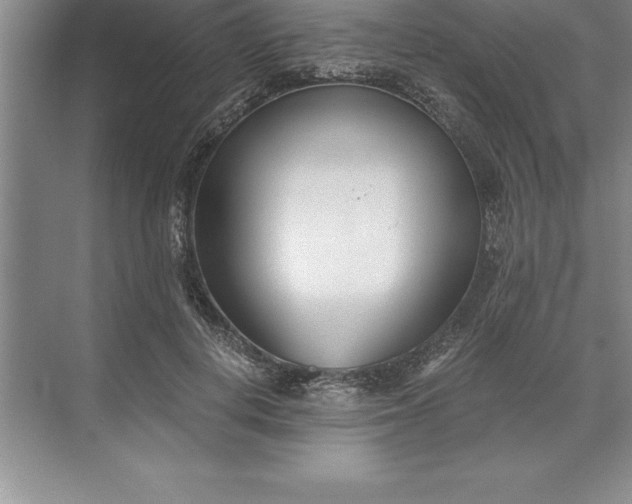 X0000071350648200607071725