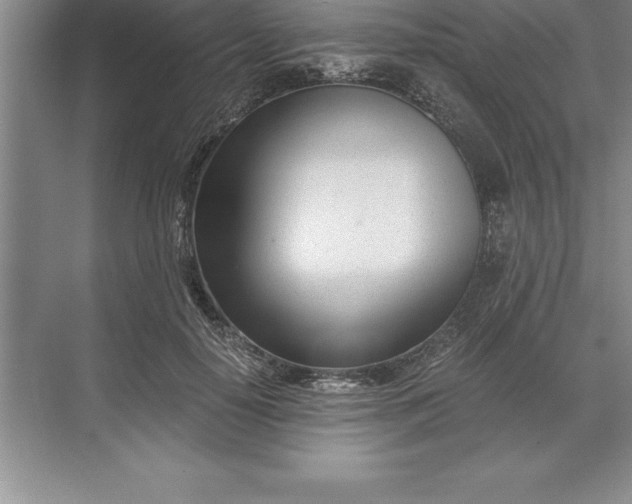 X0000071350650200607071725