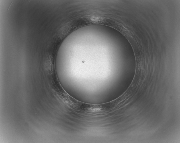 X0000071350651200607071725