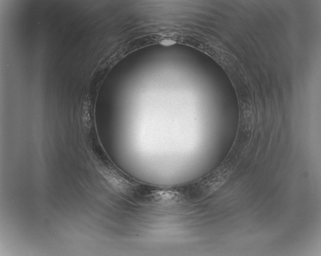 X0000071350654200607071725