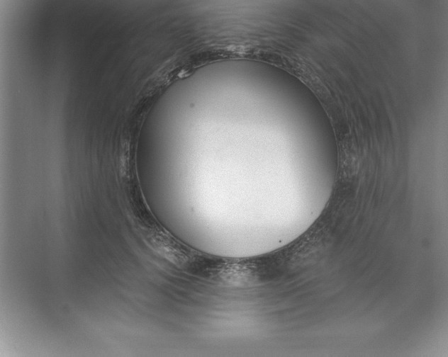 X0000071350656200607071725