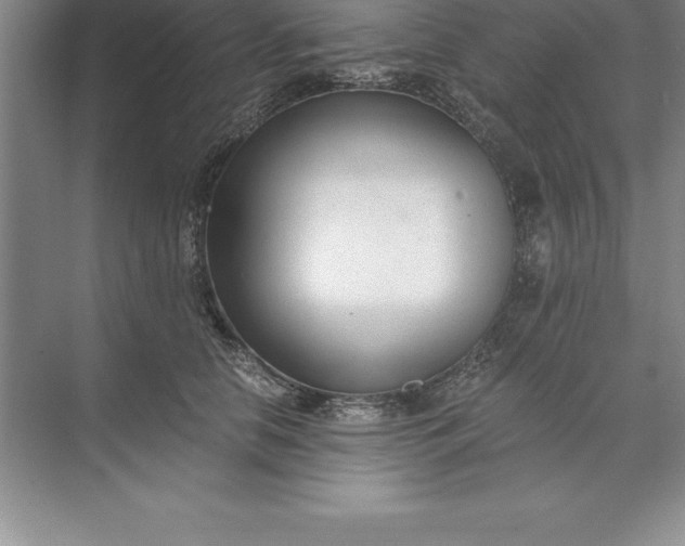 X0000071350658200607071725