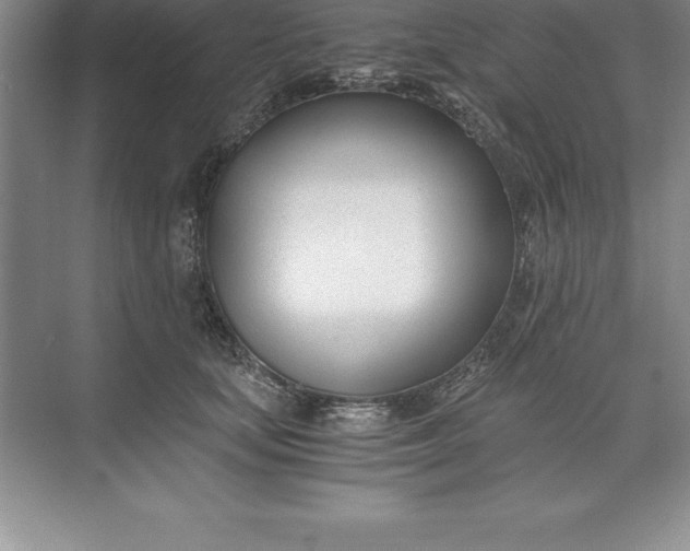 X0000071350659200607071725