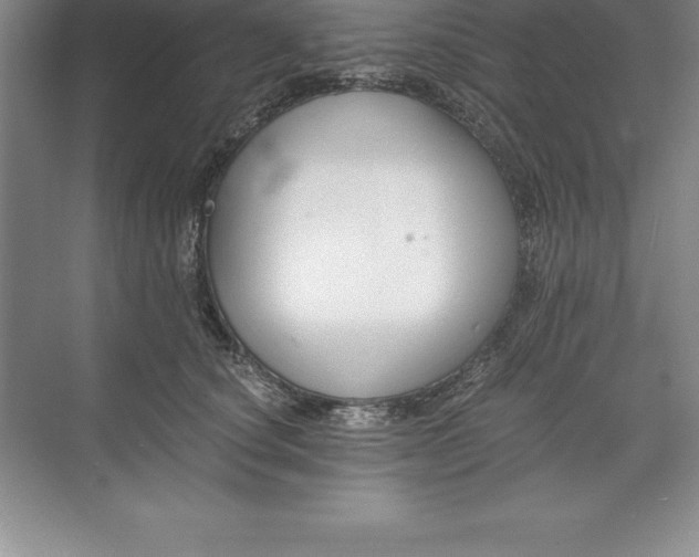 X0000071350660200607071725