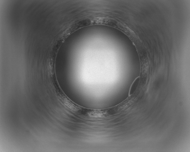 X0000071350661200607071725