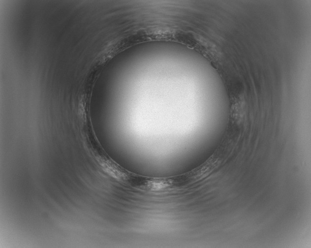 X0000071350662200607071725