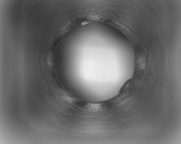 X0000071350665200607071725