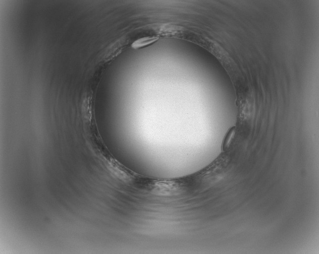 X0000071350666200607071725