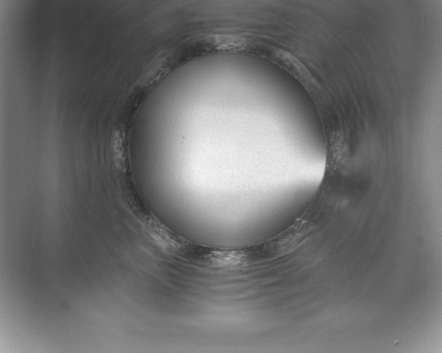 X0000071350667200607071725