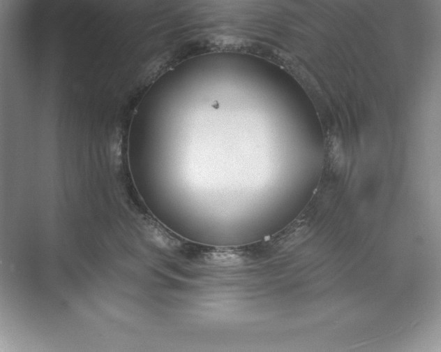 X0000071350668200607071725