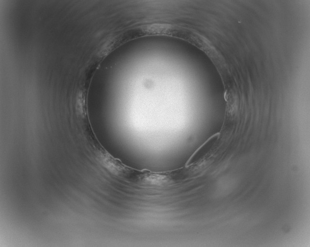 X0000071350669200607071725