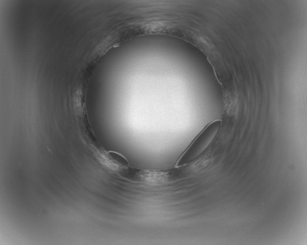 X0000071350670200607071725