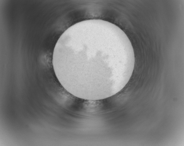 X0000071350672200607071725