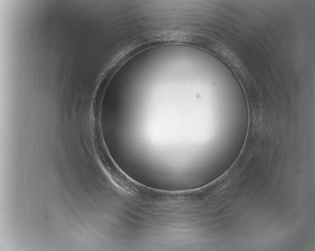 X0000071350674200607071725