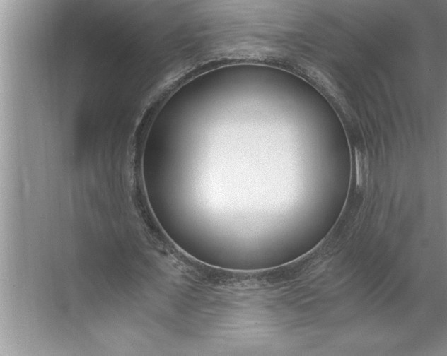 X0000071350675200607071725