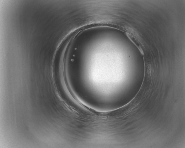 X0000071350676200607071725