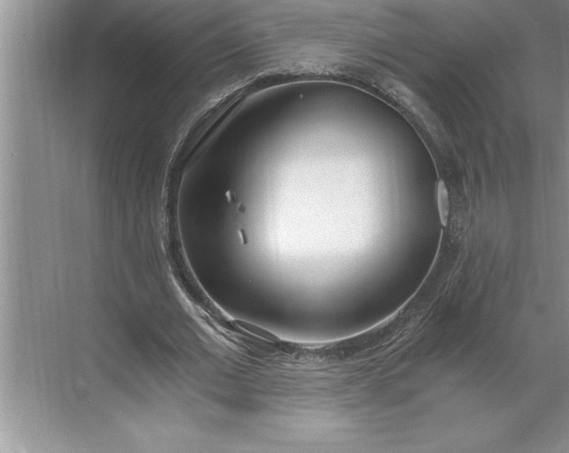 X0000071350677200607071725