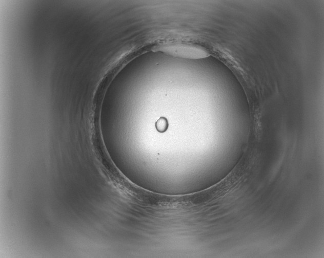 X0000071350679200607071725