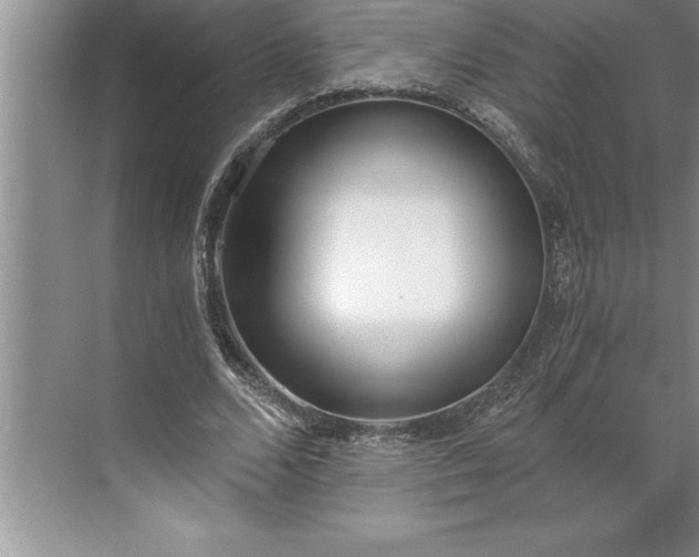 X0000071350680200607071725