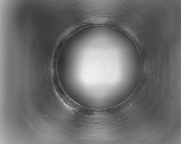 X0000071350682200607071725