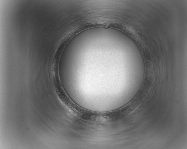 X0000071350683200607071724