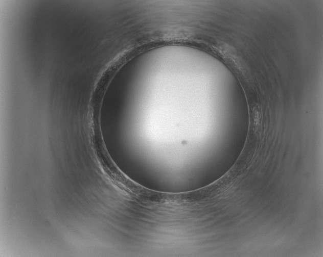 X0000071350684200607071724