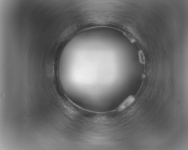 X0000071350685200607071724