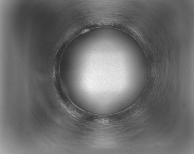 X0000071350687200607071724