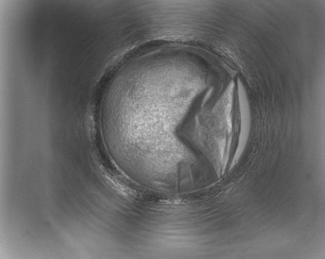 X0000071350688200607071724