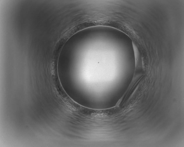 X0000071350689200607071724