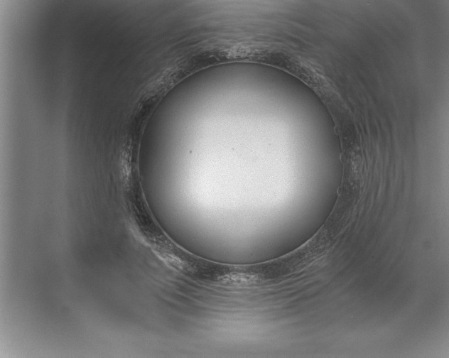 X0000071350691200607071724