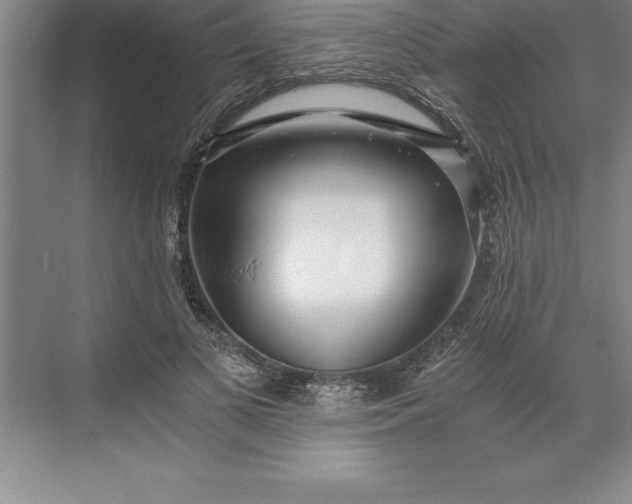 X0000071350693200607071724